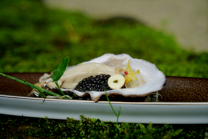 杭州隐藏在山里的民宿,杭州隐藏在山水间高逼格酒店