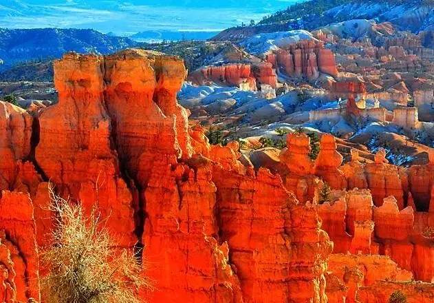 游记｜美西四大国家公园深度游，黄石8日入住小木屋~