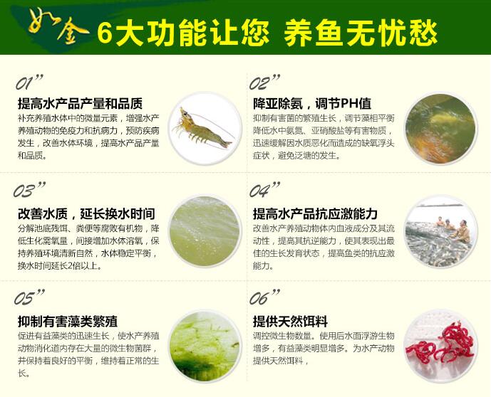 水体出现蓝藻怎么解决,水体蓝藻怎么治理