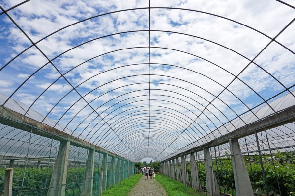 浙江嘉善大云旅游,嘉善大云周末玩的地方推荐