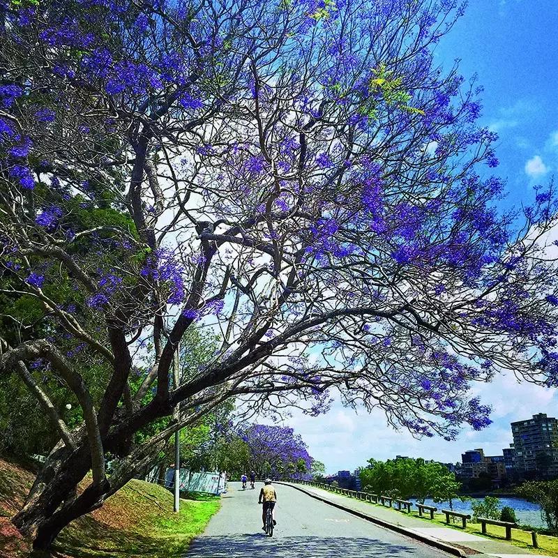 广东直飞旅游攻略路线推荐,广州直飞二日游最佳地方