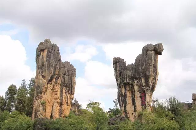 云南花海之行,云南花海基地旅游攻略