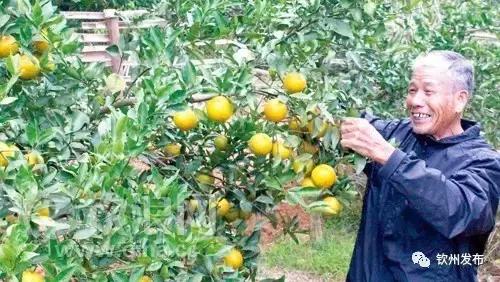 广西钦州2018年前三季度gdp,2020广西钦州上半年gdp排行