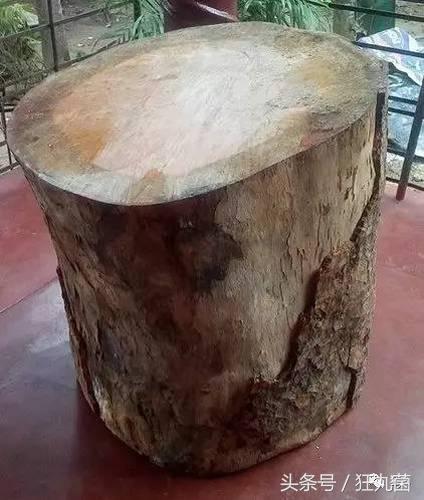 能热饭还能当马桶?别拦我,请把我埋在这样的电脑机箱里