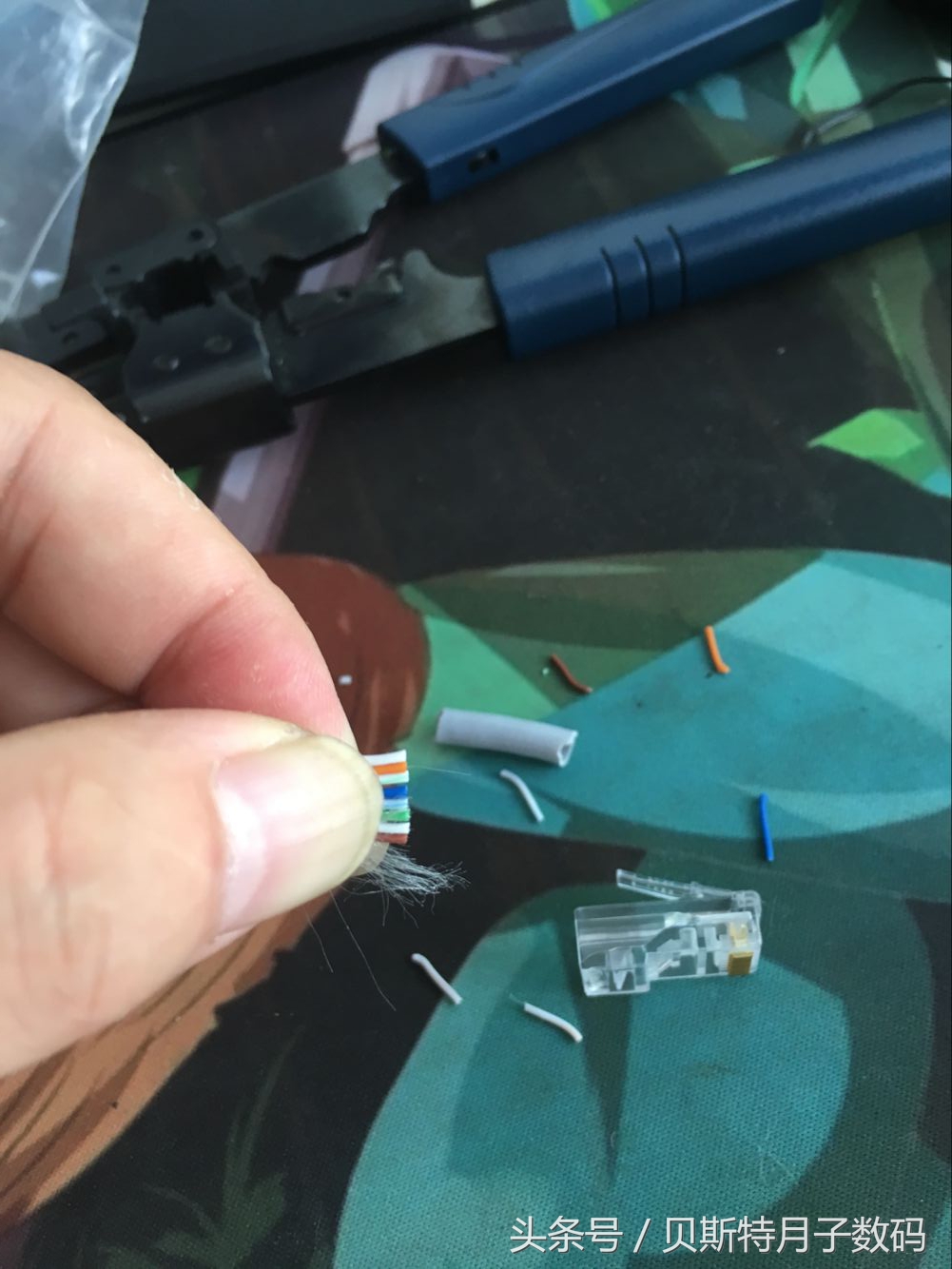 哎哟喂小编今天做网线