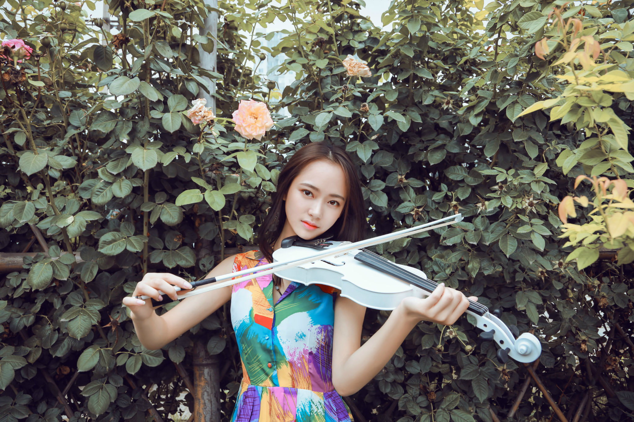 围屋里的小姑娘,木屋里的小姑娘