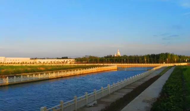 老夫妻上海一日游,上海老夫妻旅游路线攻略