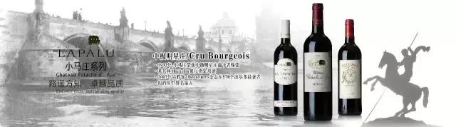 WBO专访圣加美图酒业集团董事长张轶