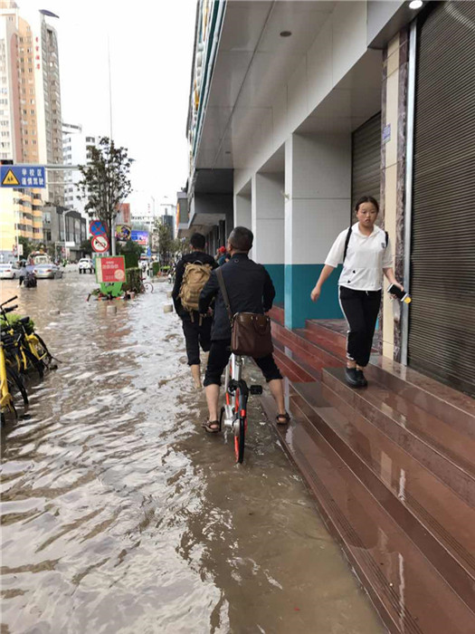 鏆撮洦琚煄韬奖瑙嗛,鏆撮洦琚煄杞﹁締琛屼汉瑙嗛