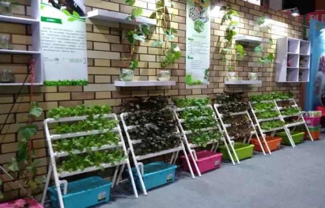 肇庆无动力亲子乐园,肇庆夏季亲子旅游推荐地方