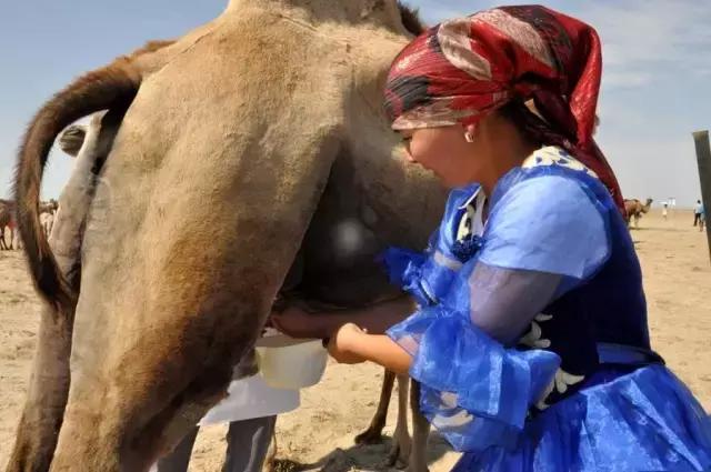 去塔城喝什么饮料,去塔城需要什么条件
