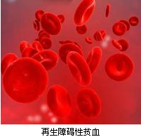 着急!再障患者出现持续性高热,怎么办?