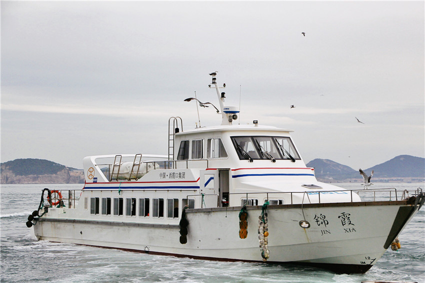 探海外仙境海驴岛,寻找海鸥王国的故事