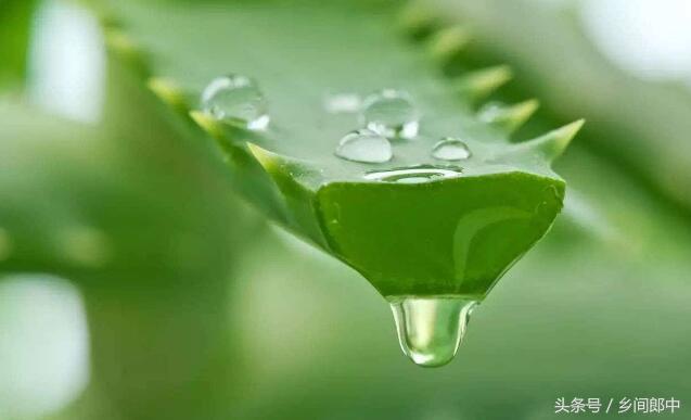 被蚊虫叮咬之后最有效的止痒方法,被蚊虫叮咬快速止痒消肿的办法