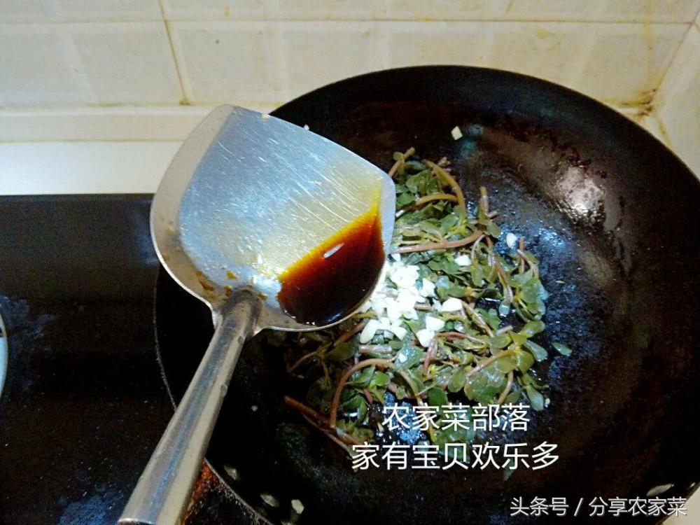 凉拌马齿苋饼,凉拌马齿苋的做法