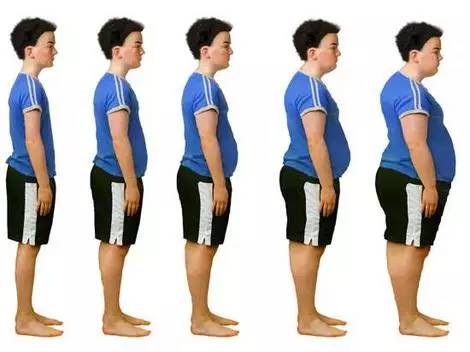 王立铭专栏｜那些“要命”的*肥药减**