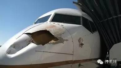 飞机：你赔我鼻子！鸟：妈的智障