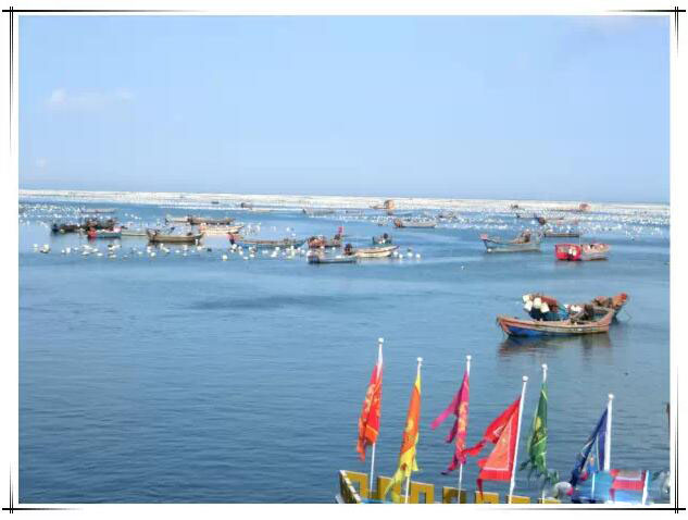 关于东方小希腊枸杞岛的一日游记 (嵊泗枸杞岛一日游攻略)