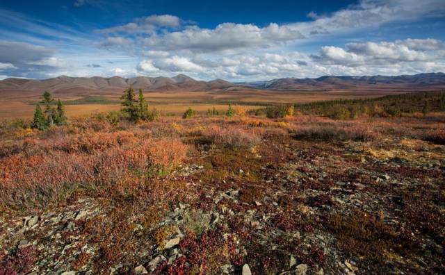 自驾全球最冷的小镇零下71度,自驾去世界上最寒冷的城市