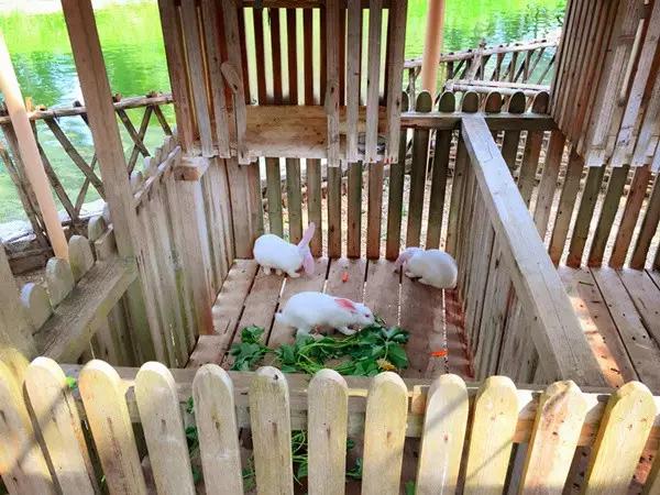 亚龙湾红树林酒店室内玩乐,亚龙湾红树林酒店潜水体验