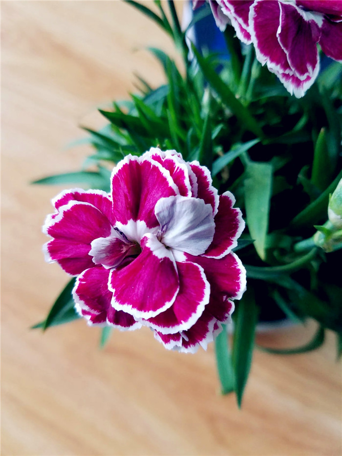 三星s7edge港版和国行区别,三星s7edge国际版和国行版的区别