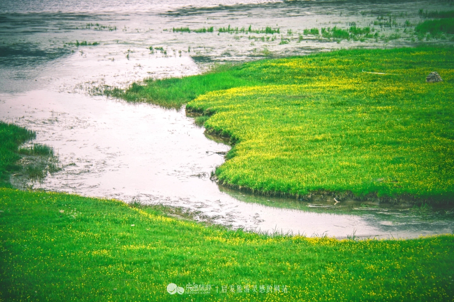 拉卜楞寺西藏,甘南拉卜楞寺离拉萨远吗