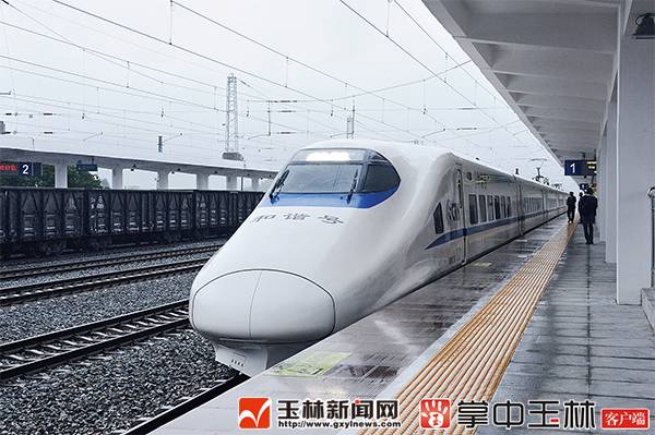 女子没吃早餐体内1000多颗结石,沈阳女子身体里取出400颗结石