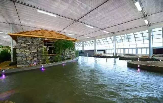 金普新区自驾游攻略,金普新区旅游攻略一日游