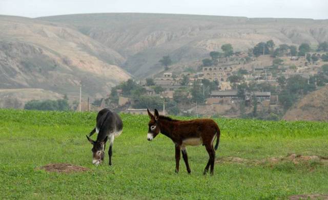 弥勒神仙店,弥勒本地人推荐的餐馆