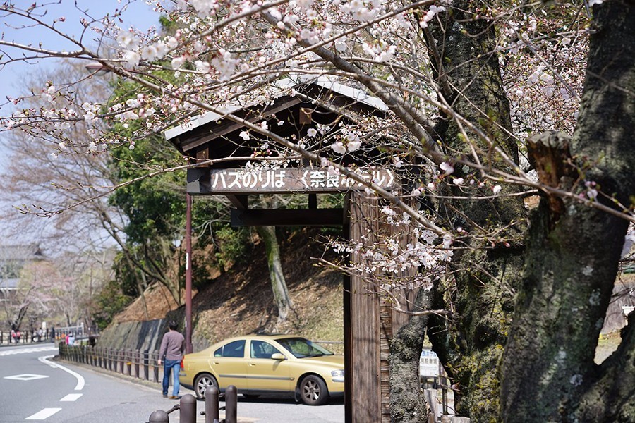 奈良:大和原点|行舍专栏