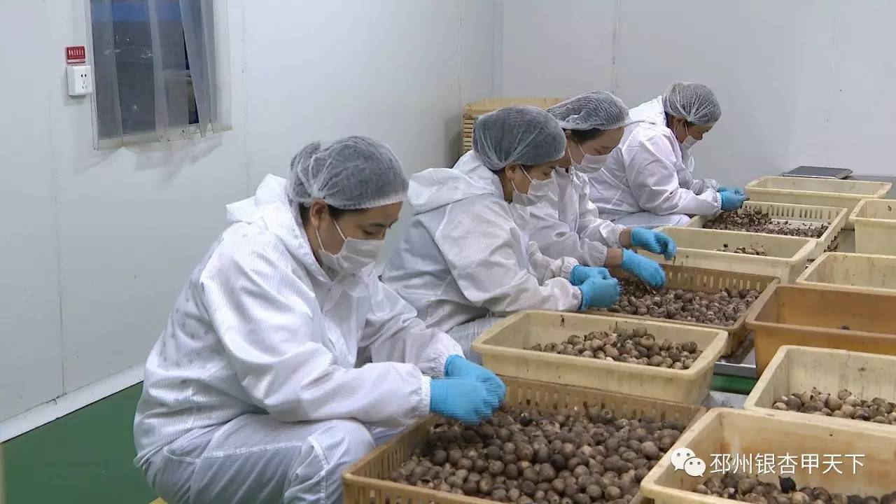 邳州的“一头蒜”到底有多牛，看完这篇微信你就知道了！