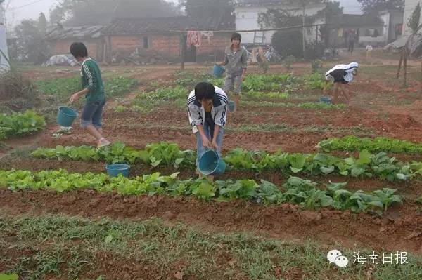 鐞间腑濂宠冻閾块數鐜懓,閾块數鐜懓缇庝附缁芥斁濂宠冻澶哄啝