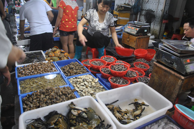 免费海边沙滩推荐,中山周边一日游沙滩