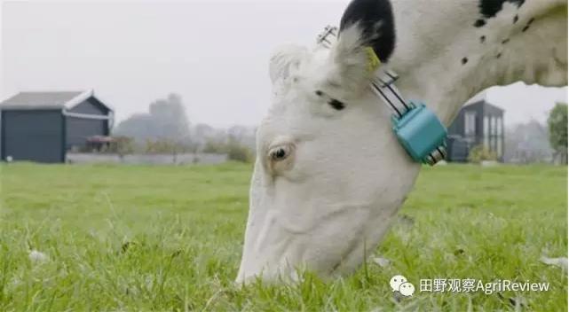 全球最强农业公司排名榜最新,农业创业十大风口企业