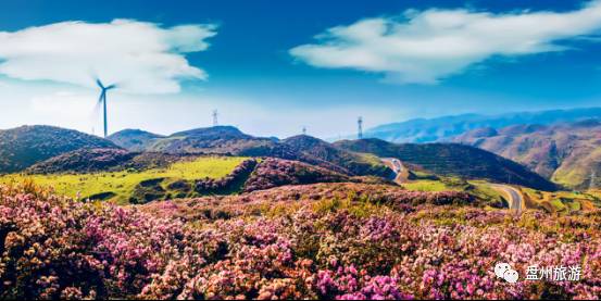 乌蒙大草原自驾攻略,成都到贵州乌蒙大草原旅游攻略