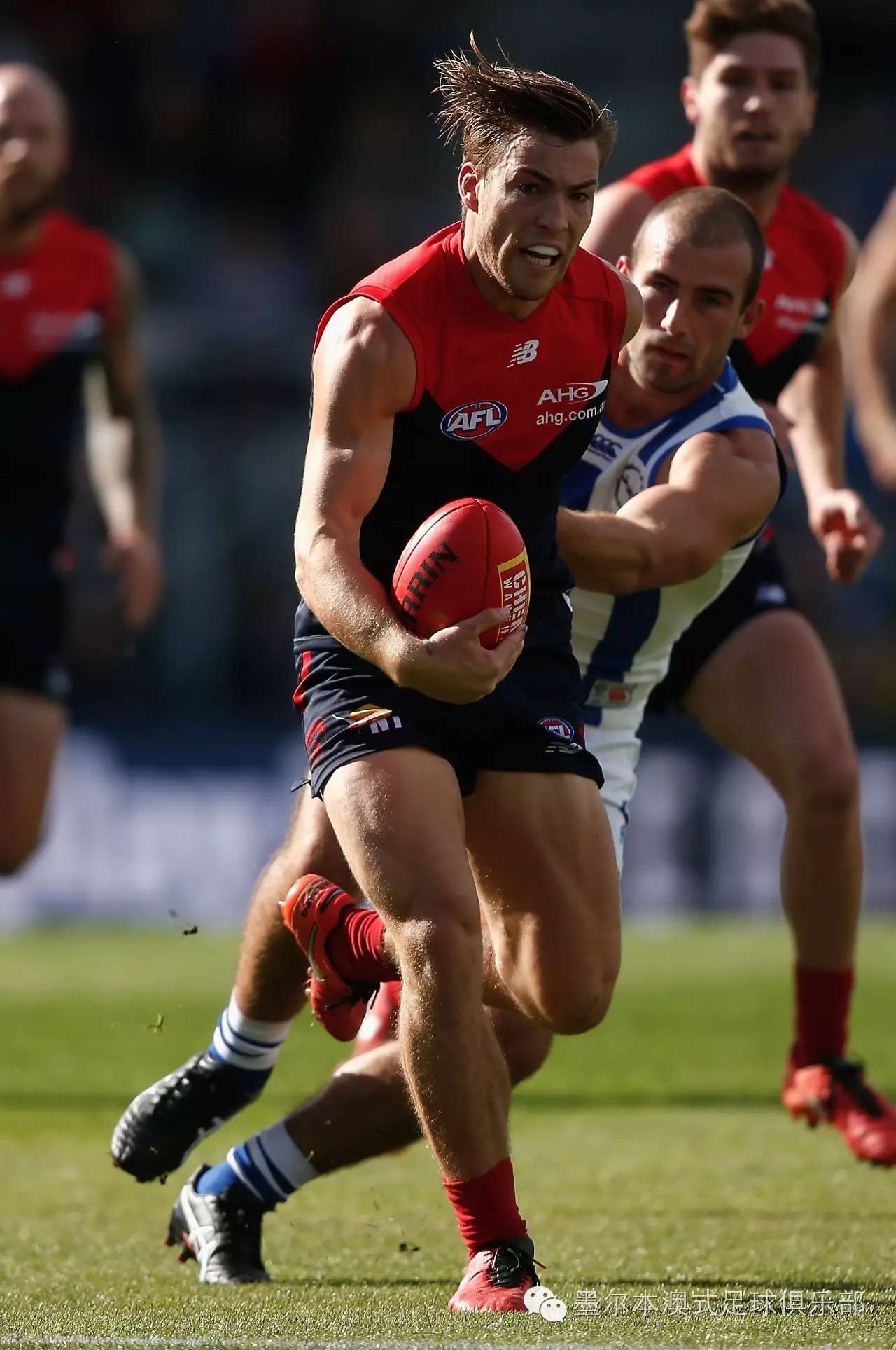 红色狂想曲完整版,红色狂想曲全集解说完整版