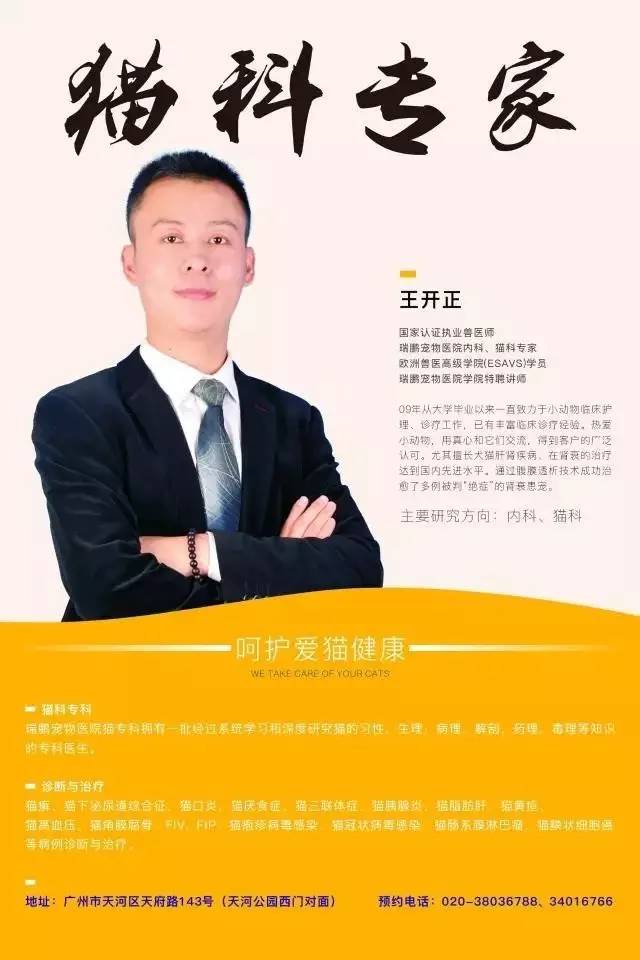 太热了夏天猫咪如何补水消暑,夏天猫咪不热吗