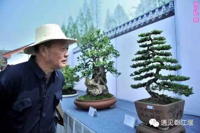 都江堰美景快乐之旅,都江堰特色旅游线路推荐