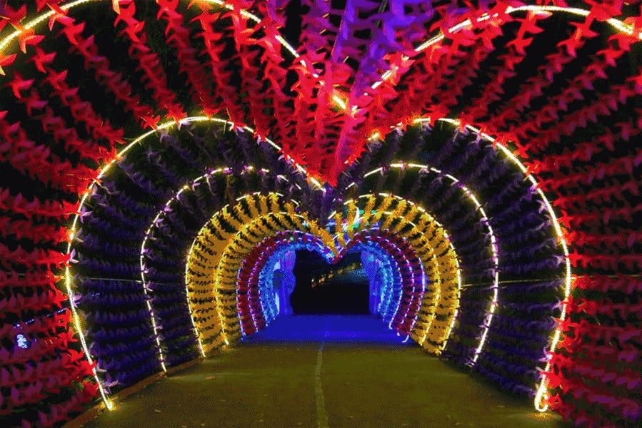 观音山暑期夏令营机构,观音山旅游攻略亲子游