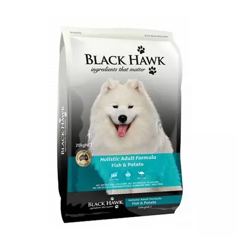 狗中美男子德牧,阿富汗猎犬最有气质的狗