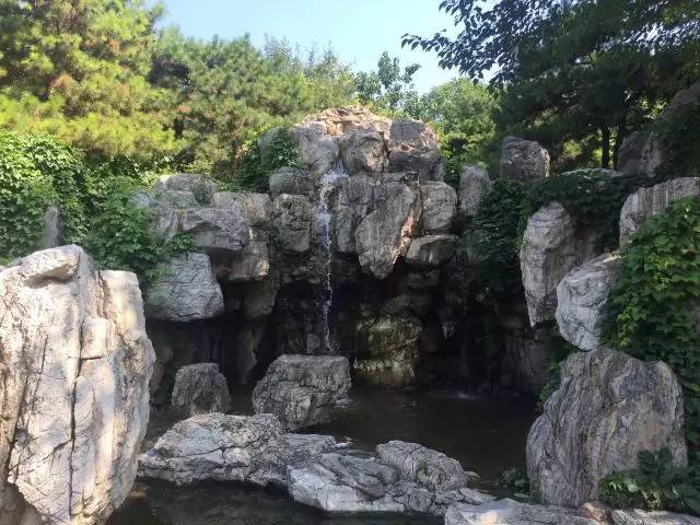 关于园区灭虫通知,昌平灭虫