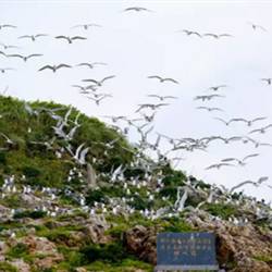 舟山开挂！三年后在舟山生活将变成这样……