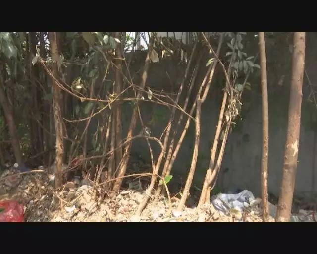 汗蒸给蒸中暑了搞笑视频,居然中暑了