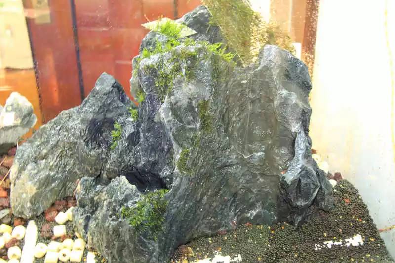 旅游时看到山川河流的感悟,旅游途中看到的景物