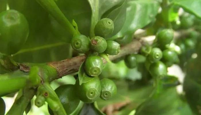 泰好食泰式融合菜小酒馆,泰好食泰式餐厅