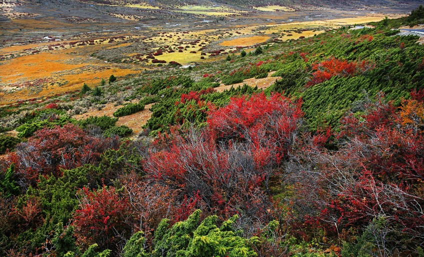 四川夏天最凉快的城市排行榜,四川最凉快的地方