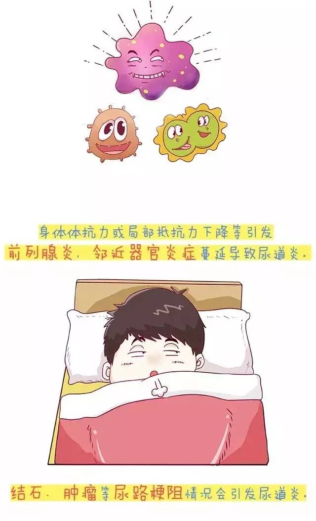 尿道炎发作了没有药怎么办,尿道炎毫无征兆就发病