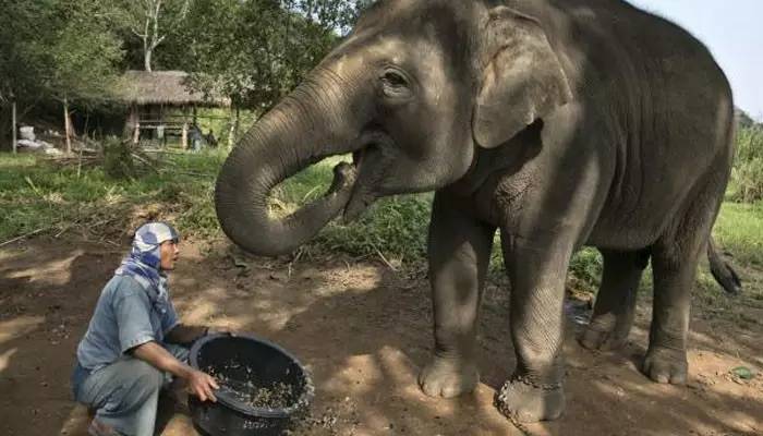 泰好食泰式融合菜小酒馆,泰好食泰式餐厅