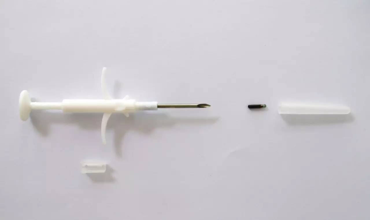 唐山狗狗免疫证明,怎么才能拿到狗狗免疫证明