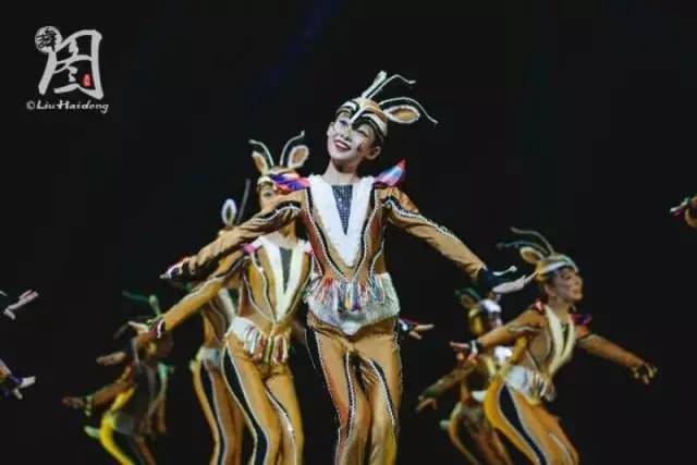 灏忚嵎椋庨噰钘忔棌鐙垶閲戝浣滃搧,灏忚嵎椋庨噰閲戝鑸炶箞闈掓捣